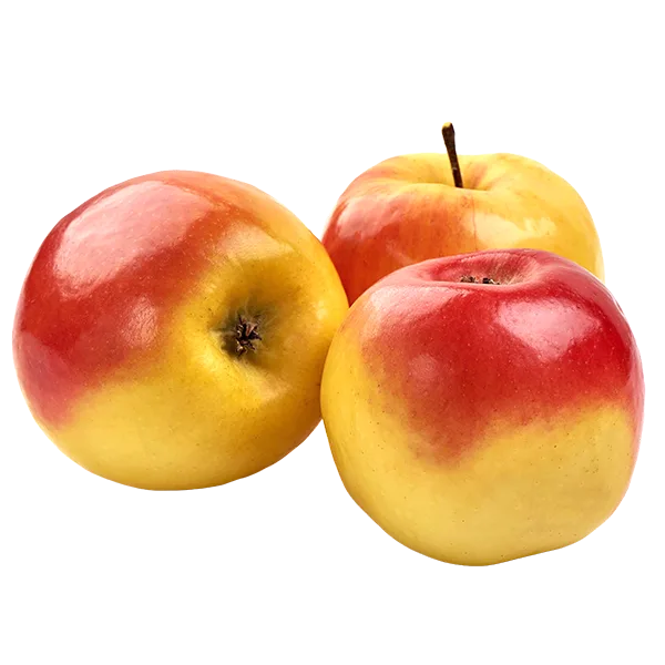 Ambrosia