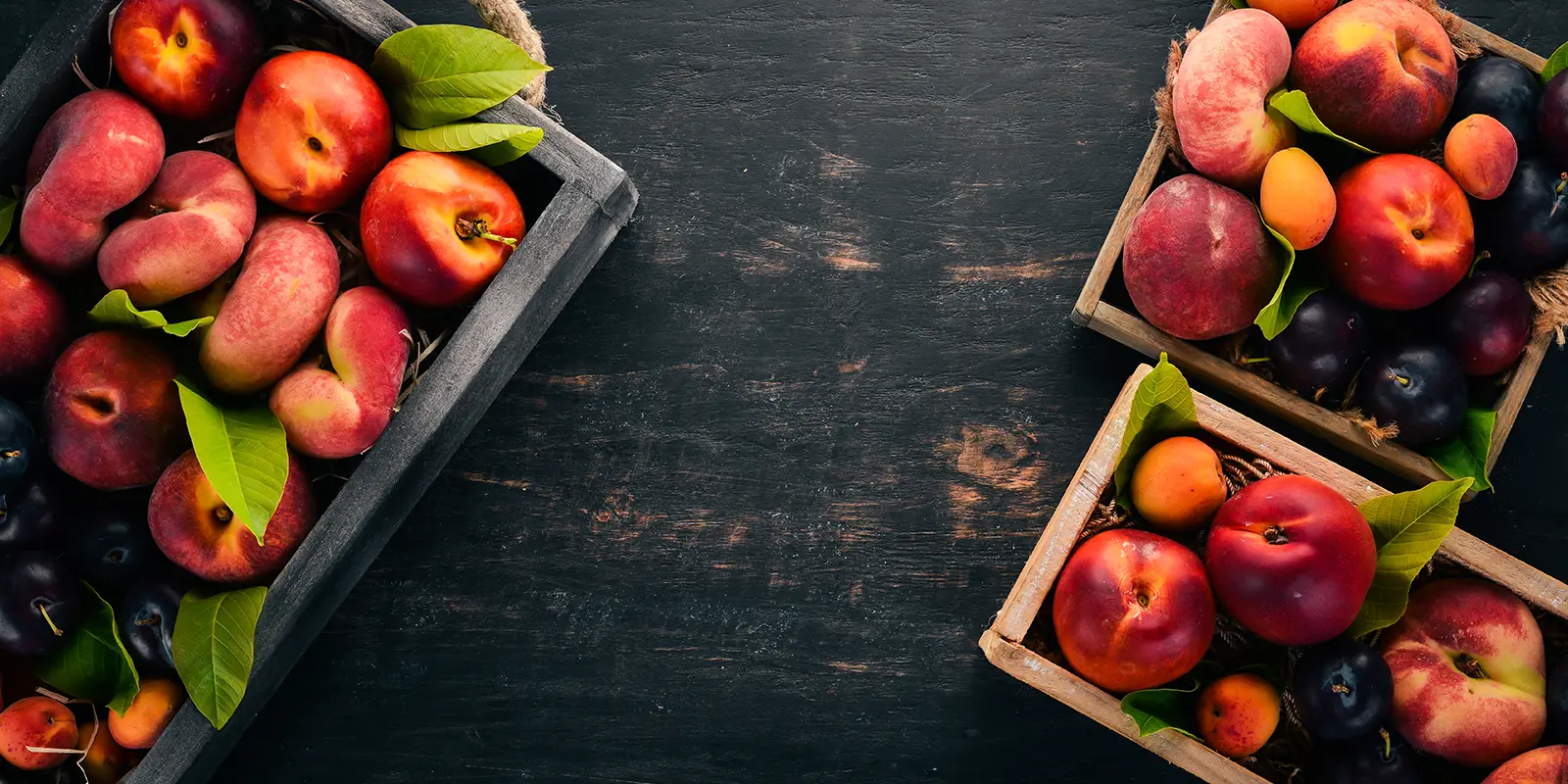 stonefruits banner