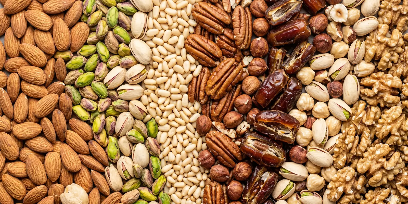 nuts and dry fruits banner