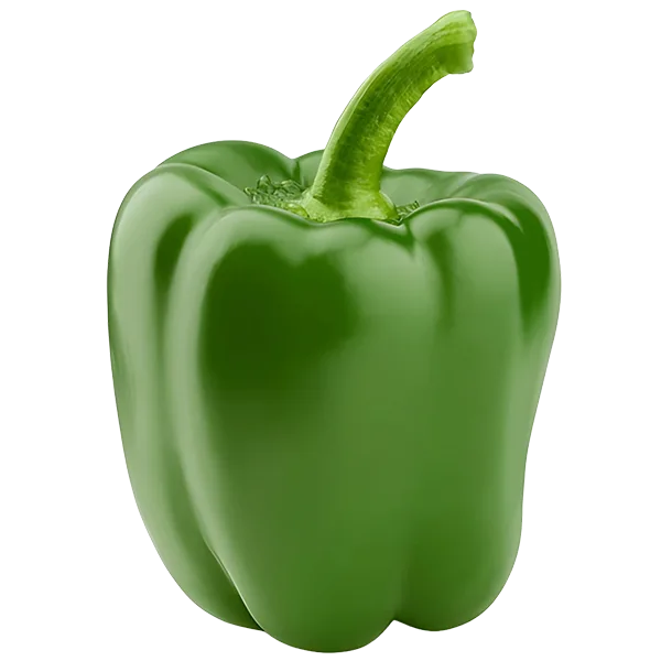Green Bell Pepper