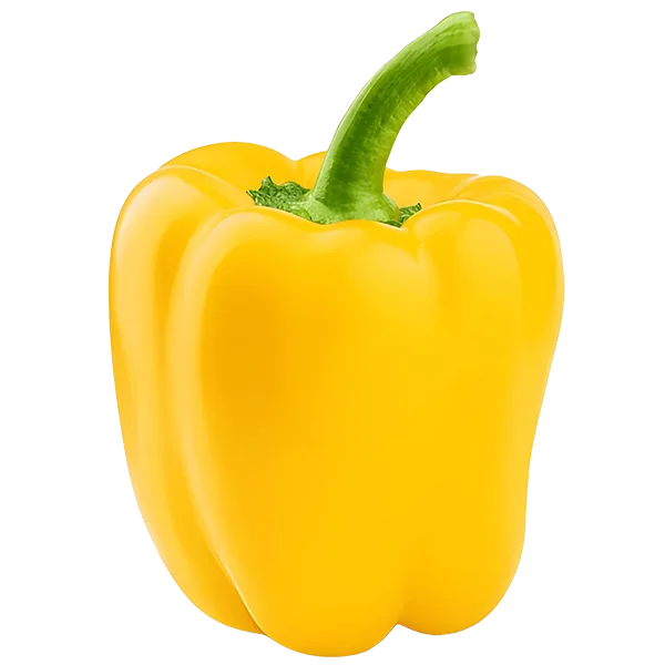 Yellow Bell Pepper