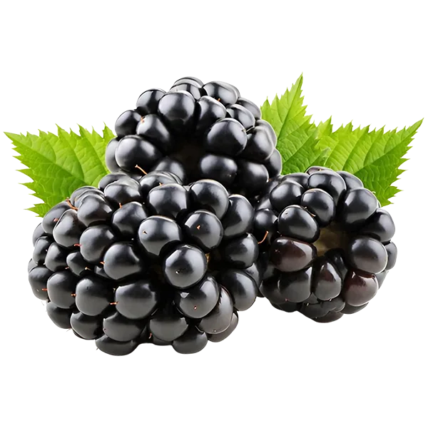 Blackberries