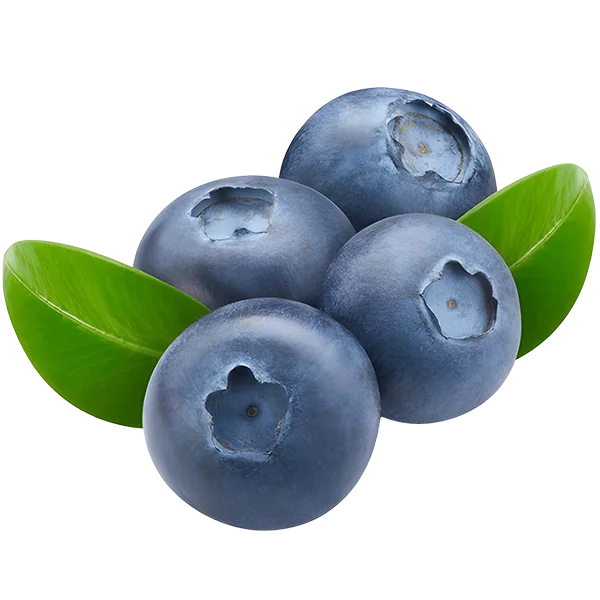 Blueberries
