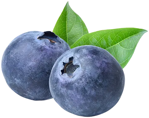 Blueberry