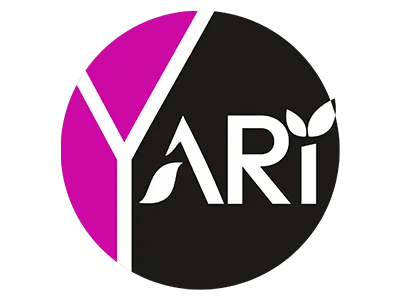 Yari