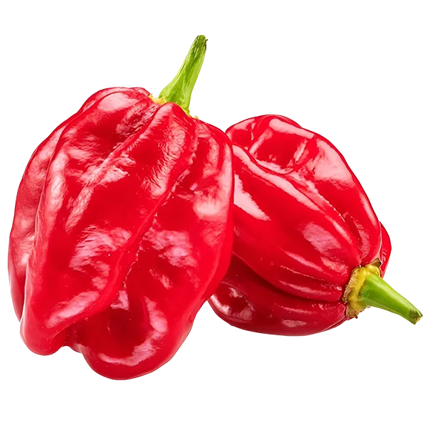 Habanero