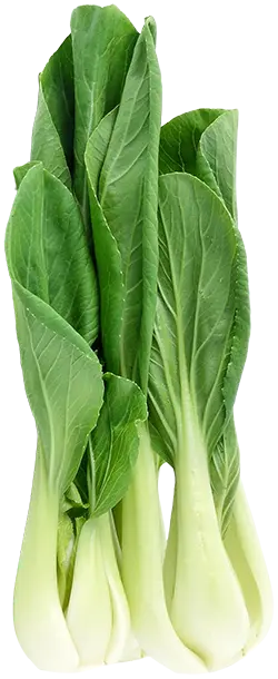 Pak Choi