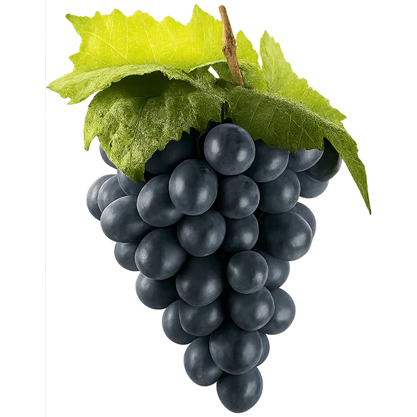 Grapes