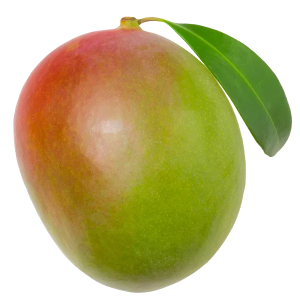 Kent