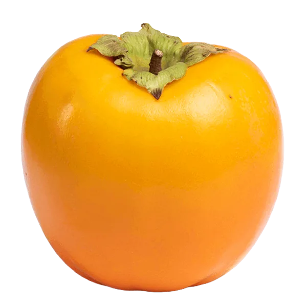 kaki