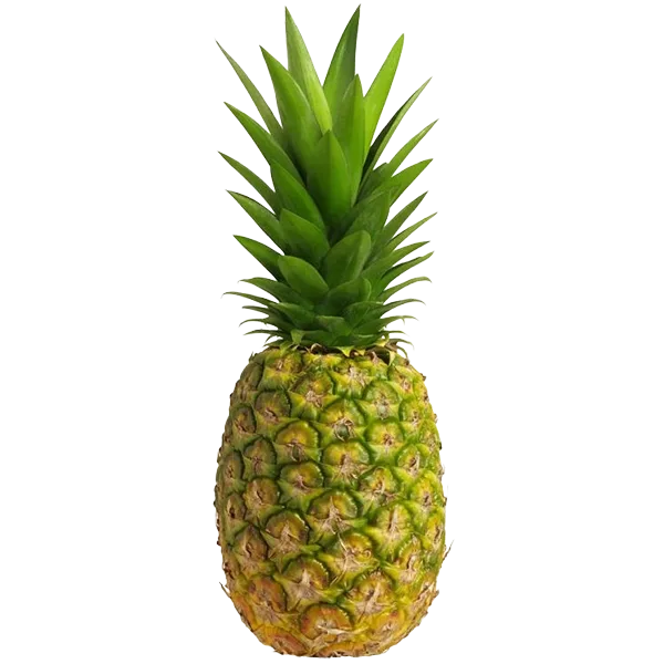 Gold Pineapple