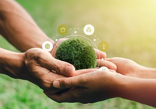 Sustainability