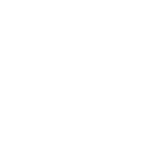 Expert Global Logistics