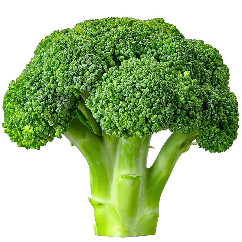 Broccoli