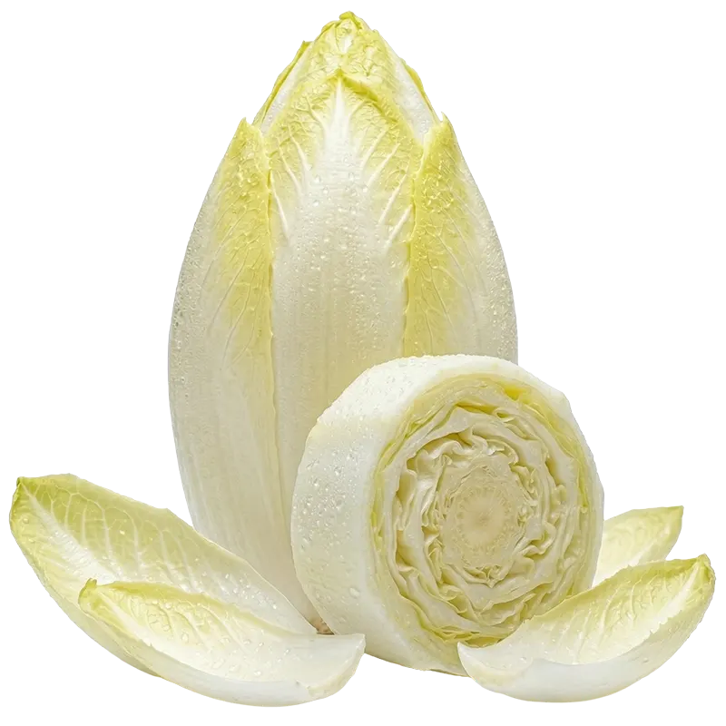 Chicory