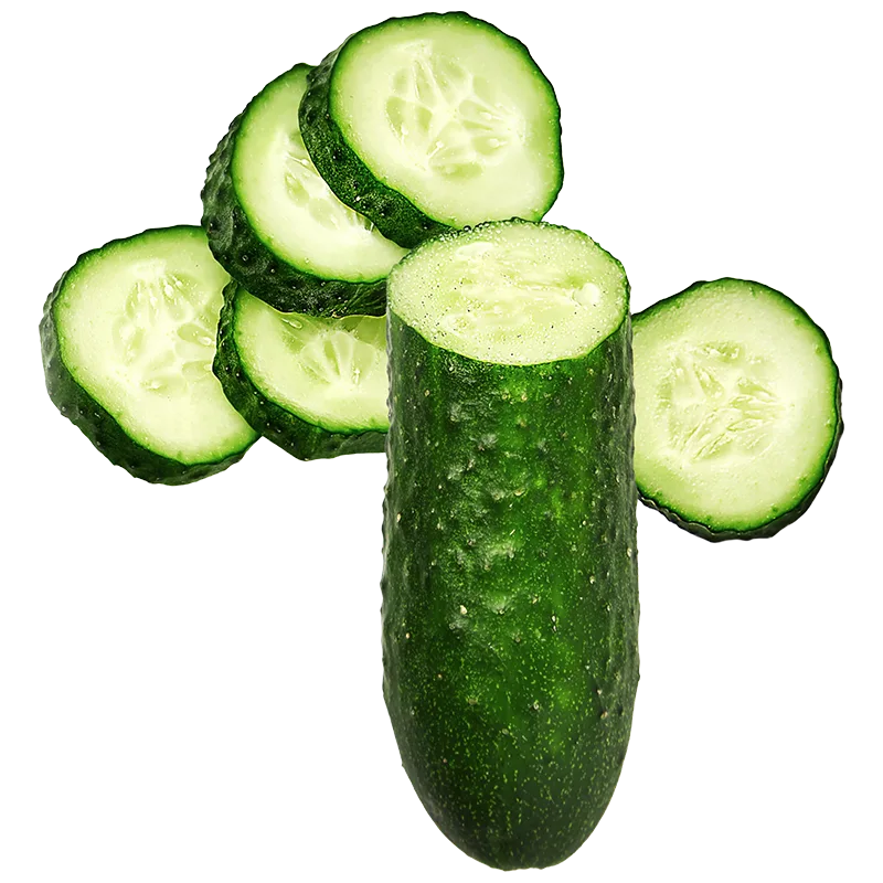Cucumber