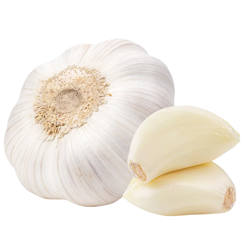 Garlic