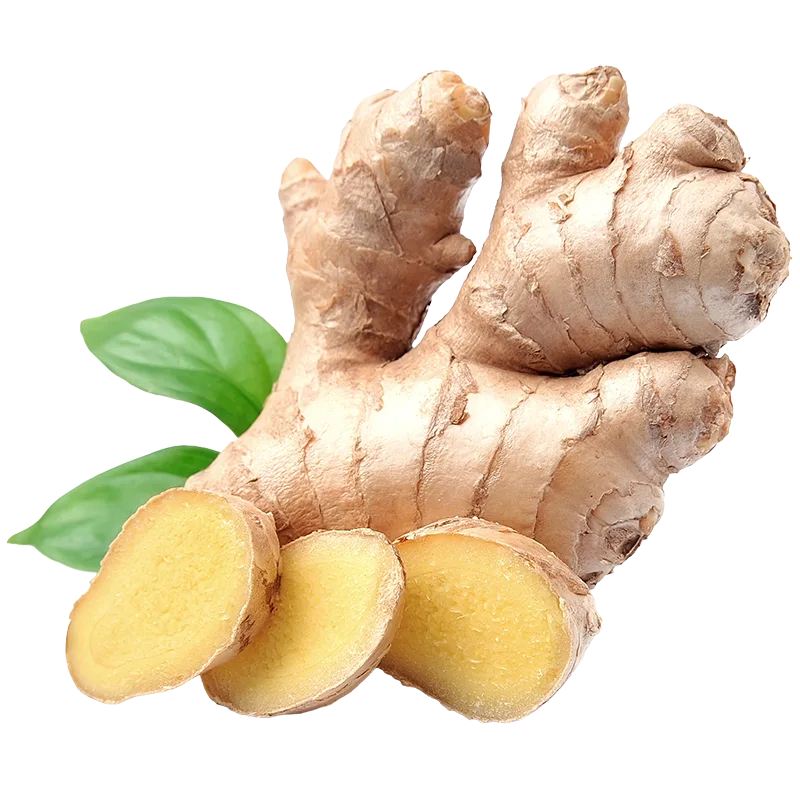 Ginger