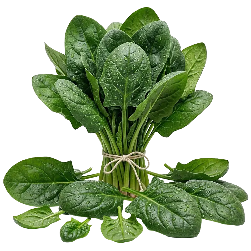 Spinach
