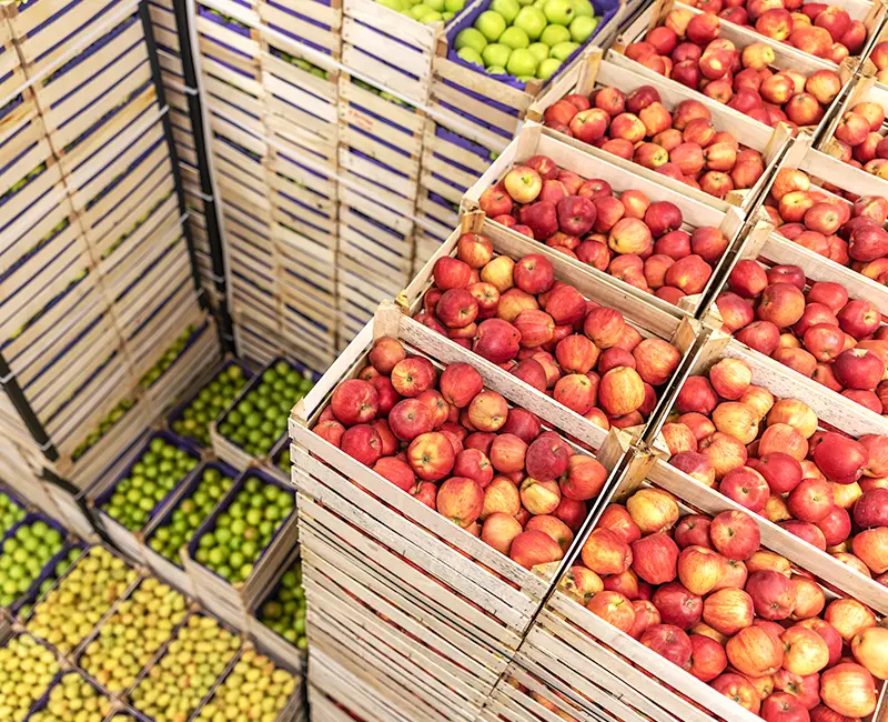 Wholesale & Bulk Supply
